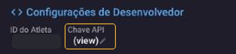 Configurações de Desenvolvedor com a Chave API destacada